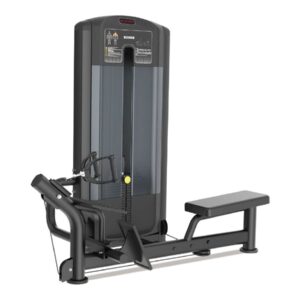 Lat Pulldown