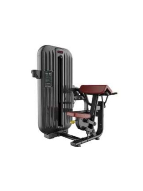 Bodybuilding Equipment