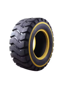 Fitness Training Tyre